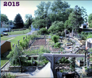 Garden 2015